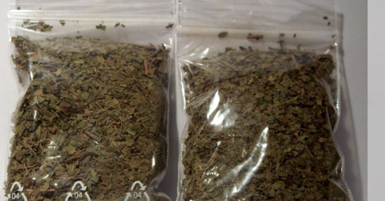 kratom-770x402