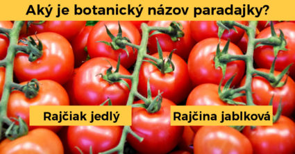 Pozri aj tento článok