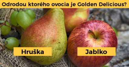 Pozri aj tento článok