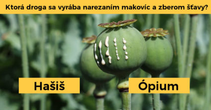 Pozri aj tento článok