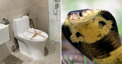 Pozri aj tento článok