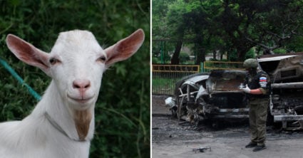Pozri aj tento článok