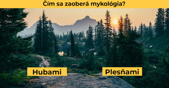 kvíz biológia