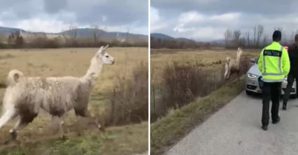 Pozri aj tento článok