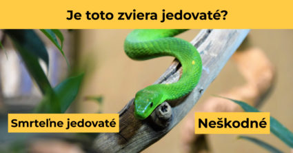 Pozri aj tento článok
