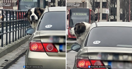 Pozri aj tento článok