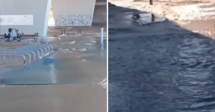 Pozri aj tento článok