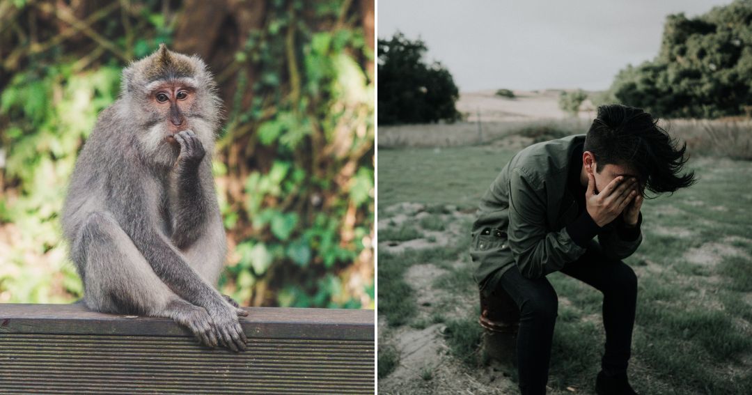 Monkey branching je nebezpečný trend, ktorý môže postihnúť aj váš vzťah ...