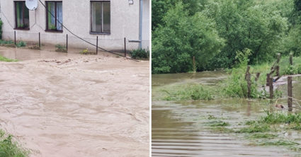 Pozri aj tento článok