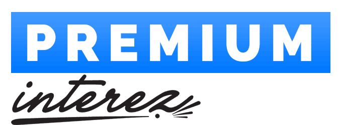 Startitup PREMIUM logo