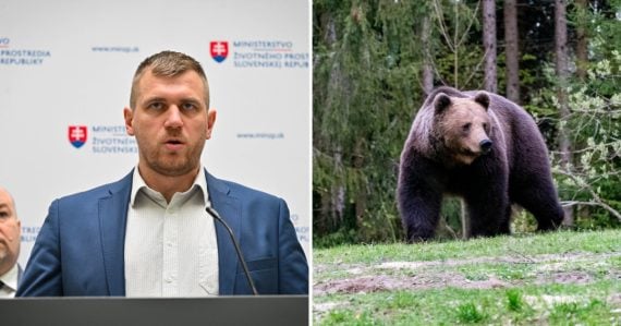 Koľko medveďov vlastne na Slovensku zastrelili? Štátna ochrana prírody zverejnila štatistiky