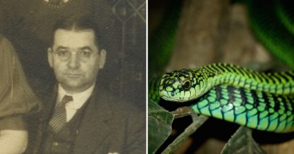 Pozri aj tento článok