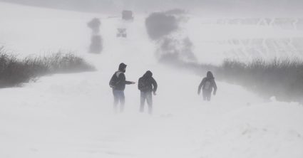 Pozri aj tento článok