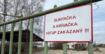 Pozri aj tento článok