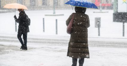 Pozri aj tento článok