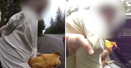 Pozri aj tento článok