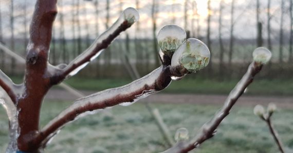 Zima si dáva repete: Teploty padajú, mráz sa vracia. Tento víkend bude poriadne studený. Pozrite sa, čo nás čaká