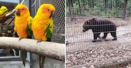 Navštívili sme jeden z najväčších zoo parkov v Európe: Vstupenka stála menej ako 17 eur, toto nás poriadne prekvapilo