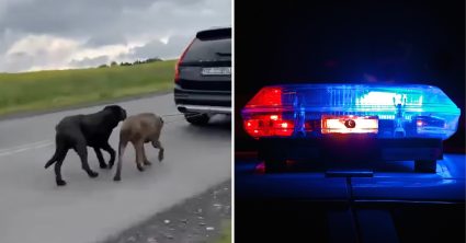Pozri aj tento článok