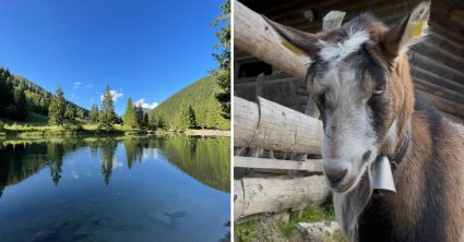 Navštívili sme prekrásnu dolinu na severe Slovenska: Nájdete tu kontaktnú zoo úplne zadarmo a schladíte sa vo vodnej nádrži