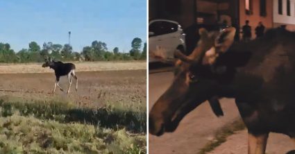 Pozri aj tento článok