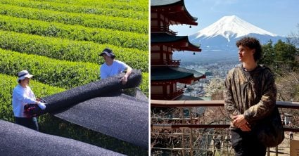 Vítek pracuje na matcha farme v Japonsku: Nádherný dom si tu kúpite za 10 000 €. Za stretnutie s gejšou by som nezaplatil