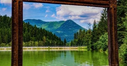 Vydali sme sa po stopách posledného žijúceho obra karpatského: Vrátili sme sa do detstva, no báli sme sa, že stretneme medveďa