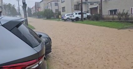 Pozri aj tento článok