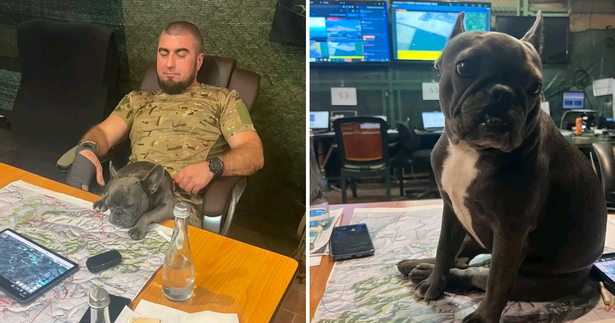 Nevinná fotka so psom sa zmenila na bezpečnostný problém: Tajná mapa v ...