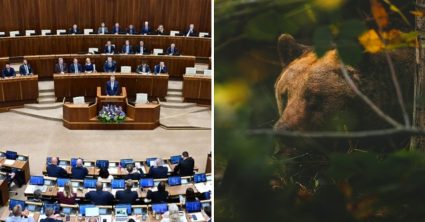 Pozri aj tento článok