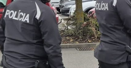 Pozri aj tento článok