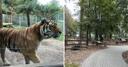 Boli sme v najmenšej slovenskej zoo, mnohí o jej existencii nevedia. Dostanete sa sem aj zadarmo, toto nás prekvapilo