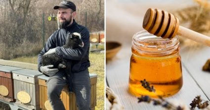 Včelár Trudo: Lacný a kvalitný med nejde dokopy. Aj v supermarkete môžete nájsť dobrý