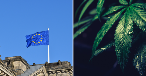 Marihuana na vzostupe: Spotreba v tejto krajine dosiahla historické maximum, obľúbené sú aj kanabisové kluby