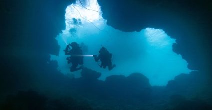 Pozri aj tento článok