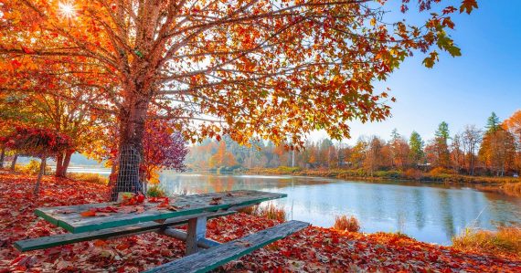 Počasie sa s nami zahráva: Lejak vystriedajú slnečné dni, dáždnik môžete odložiť. Pred nami sú slnečné dni, takto bude