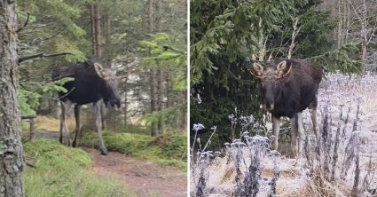 Pozri aj tento článok