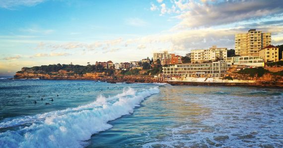 Muža vyplavilo z mora, z nôh sa mu valila krv. V známej destinácii útočil žralok, ženu zabil namieste. Do vody nesmie nikto vstúpiť