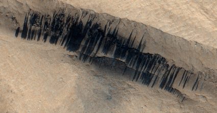 Pozri aj tento článok