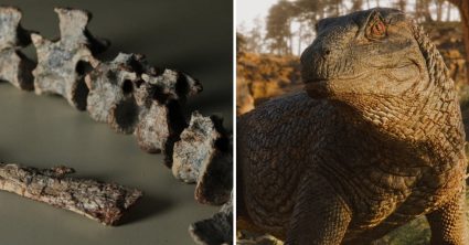 Pozri aj tento článok