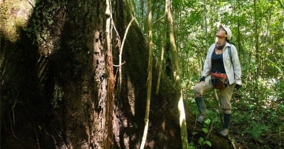 Na Zemi sa deje niečo, čo tu nebolo 10 miliónov rokov. Vedci varujú: Posledné štádium je smrť