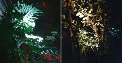 Zažili sme unikát, aký inde na Slovensku nenájdete: V decembri sme sa ocitli v srdci džungle, zaplatíte 8 eur