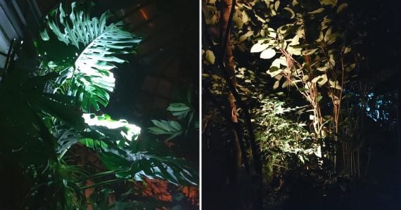 Zažili sme unikát, aký inde na Slovensku nenájdete: V decembri sme sa ocitli v srdci džungle, zaplatíte 8 eur