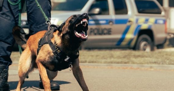 Polícia má v rukách tragický prípad: Žena mala zastreliť vlastnú matku. Susedia nechápu, čo sa stalo