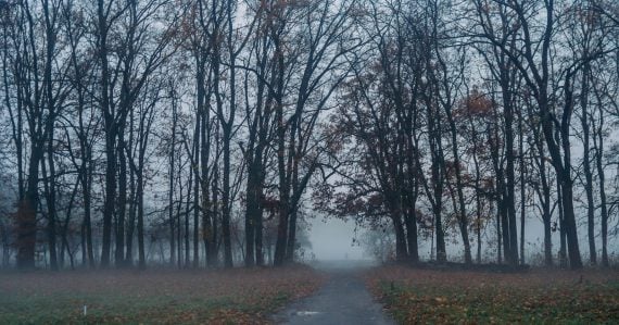 Teplotné šialenstvo pokračuje: Podobný december tu dlho nebol, Vianoce sú ohrozené. Rekordy môžu padať už popoludní
