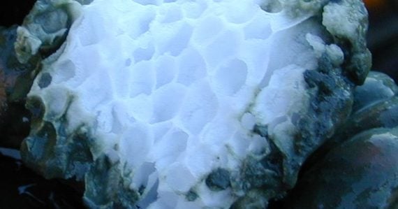 Nikdy nebolo hlbšie: Na oceánskom dne v hĺbke 3 640 metrov našli vedci temný svet plný života