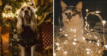 Pozri aj tento článok