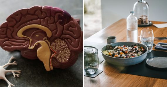 Vedci odhalili, ako spomaliť starnutie mozgu: Stačí, ak upravíte svoj jedálniček, môžete začať okamžite
