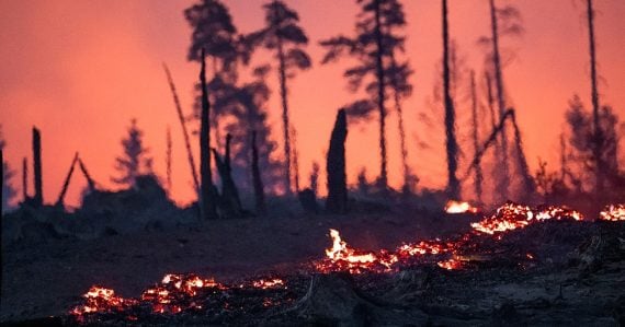 Namiesto hasenia zakladal požiare: Dobrovoľný hasič dostal 2 roky väzenia, vraj to robil neúmyselne