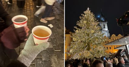 Vianočné trhy u našich susedov sú ako z rozprávky: Na šunku za 6 eur sa tvorili rady, na cenu si dajte pozor